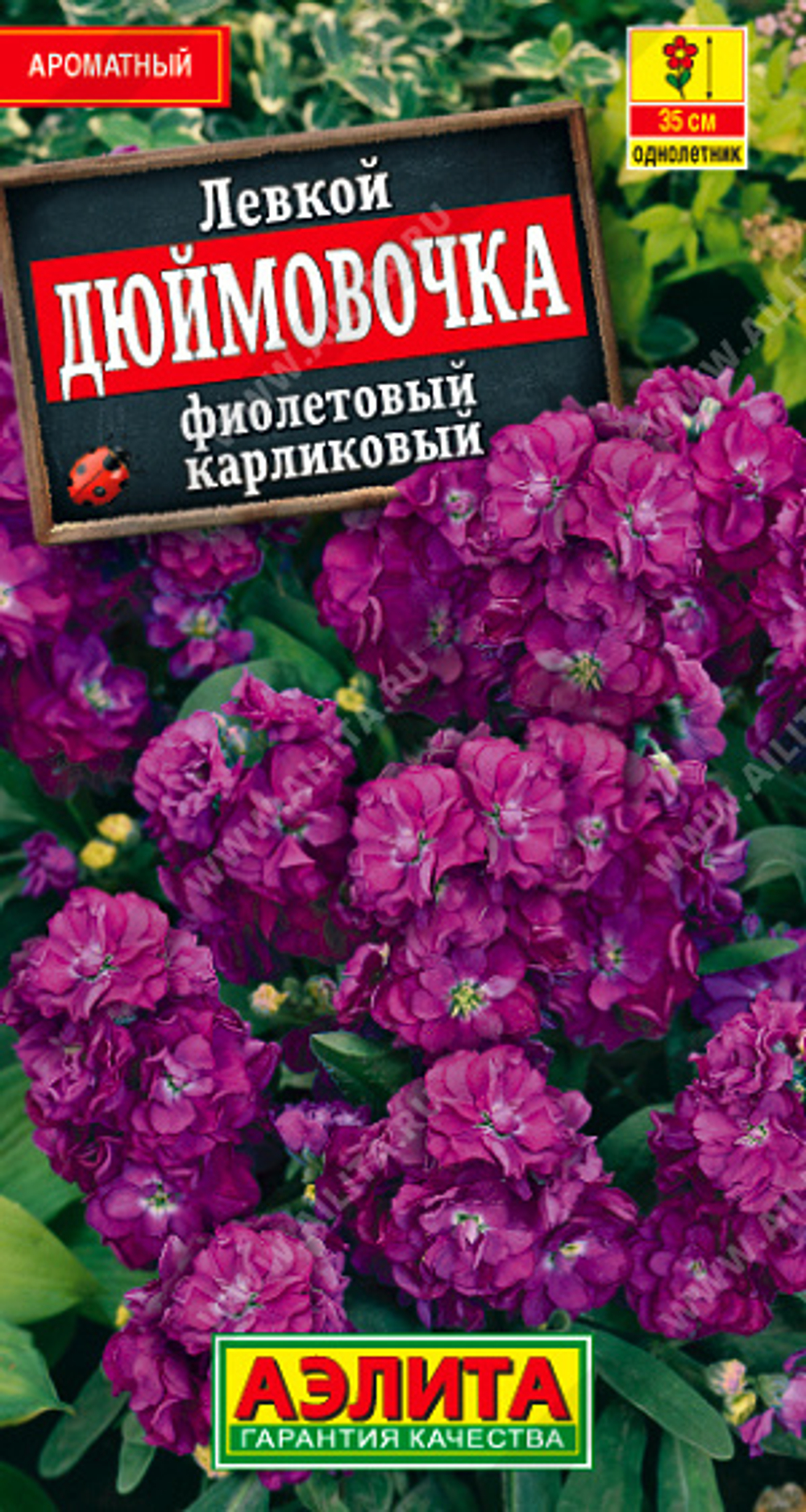 Левкой Дюймовочка фиолетовый 0,1г Ц Аэлита