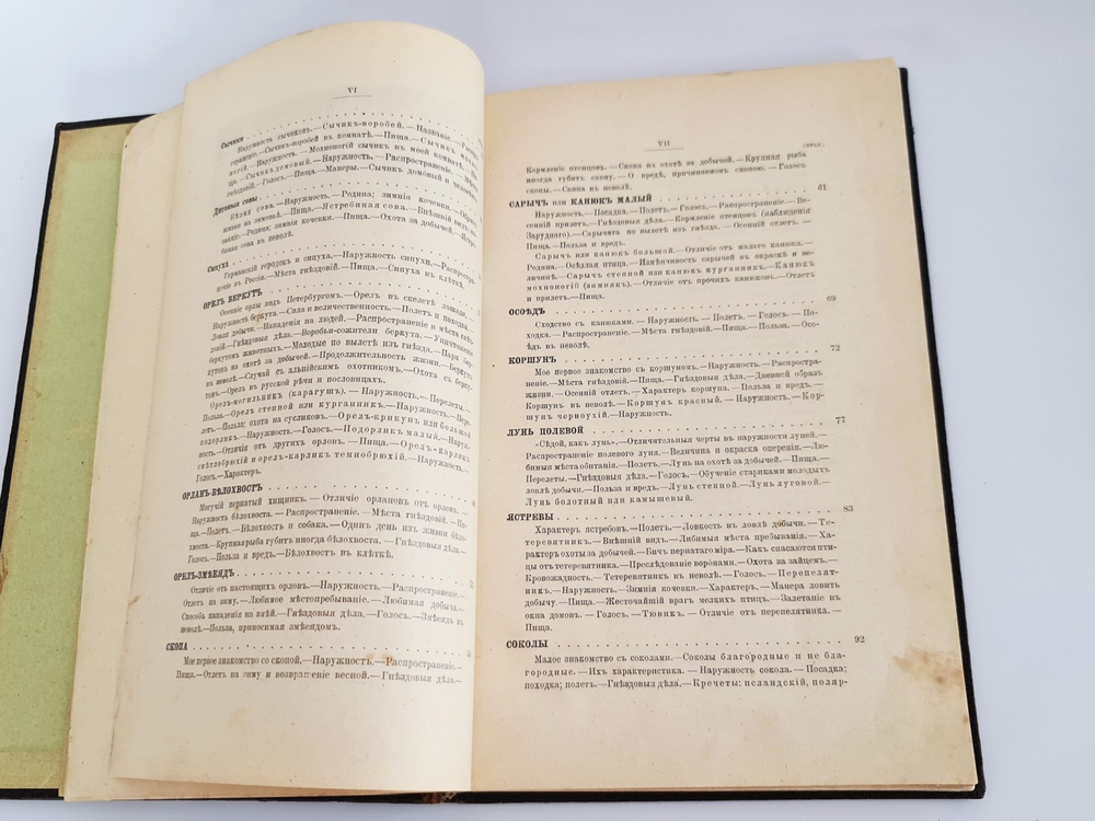 "Пернатые хищники. Популярные очерки из мира русских хищных птиц". Д.Н.Кайгородов. 1906г.