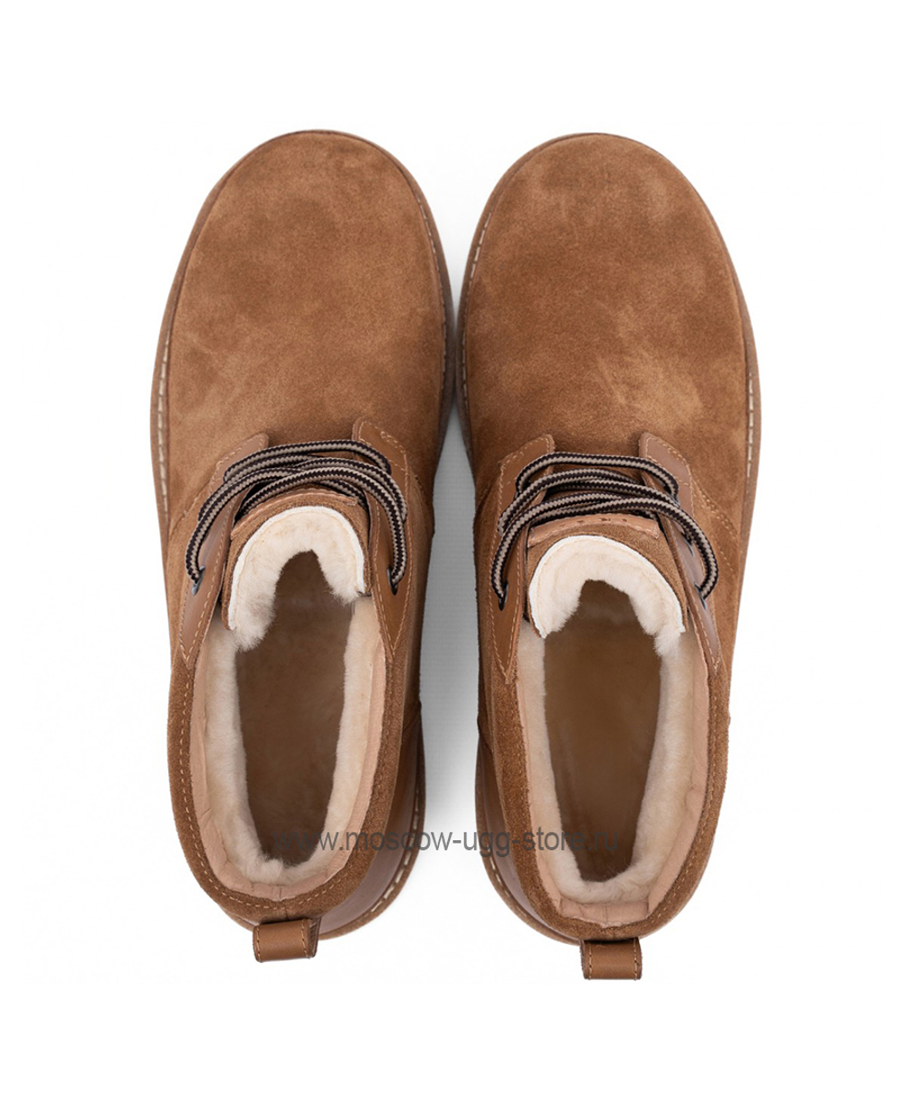 NEUMEL GENTLEMAN Chestnut