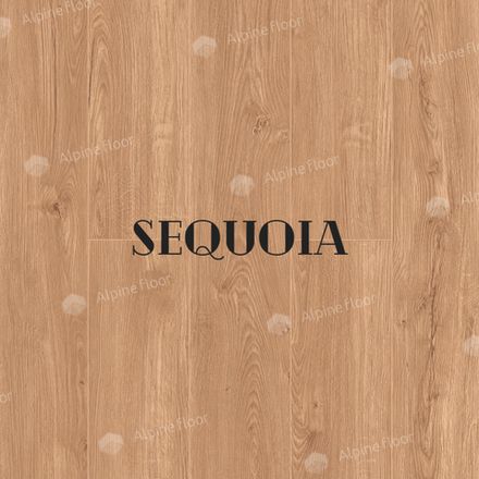 Alpine Floor Sequoia