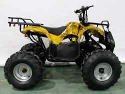 Электроквадроцикл Green Camel Атакама T220 (48V 1000W R8 Дифференциал)