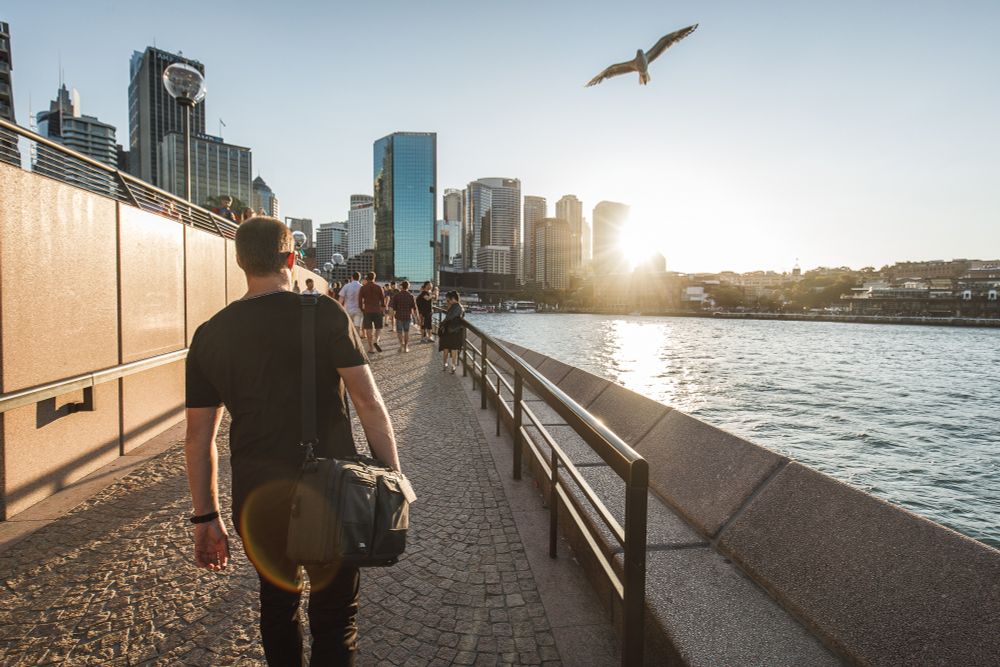 National Geographic NG W5310 Walkabout