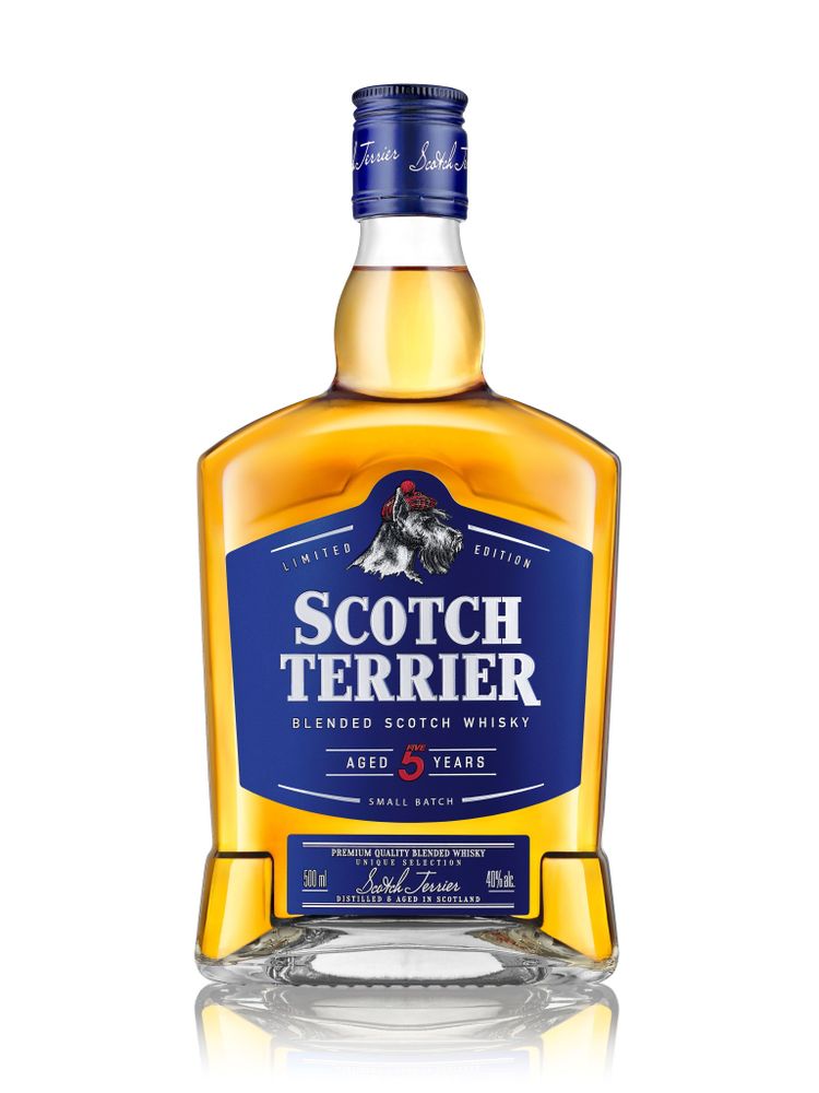 Виски Скотч Терьер  5 лет