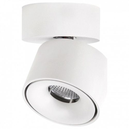 Спот Citilux CL558010N
