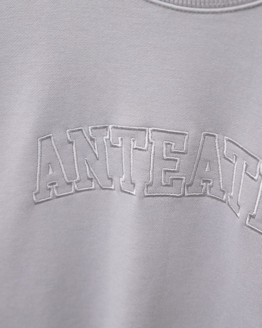 Купить Толстовка Anteater Crewneck BigText серая Толстовка Anteater Crewneck BigText серая