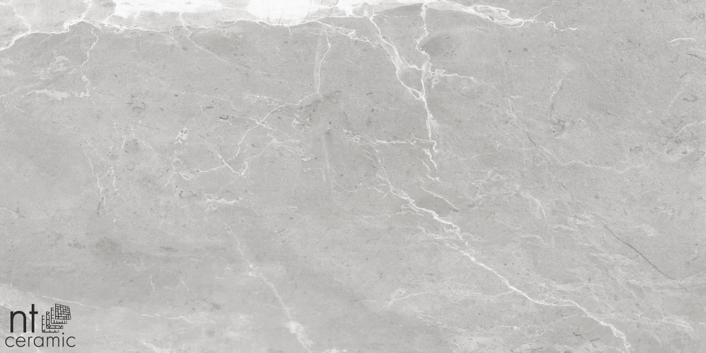 Керамогранит NT CERAMIC Slate Grey 600*1200мм лаппатированная