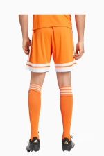 Шорты adidas Squadra 25 - оранжевый