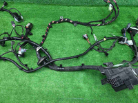 IMG_20260327_101656.JPG