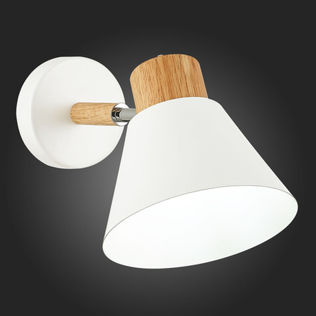 Светильник настенный Evoluce Buve SLE103701-01