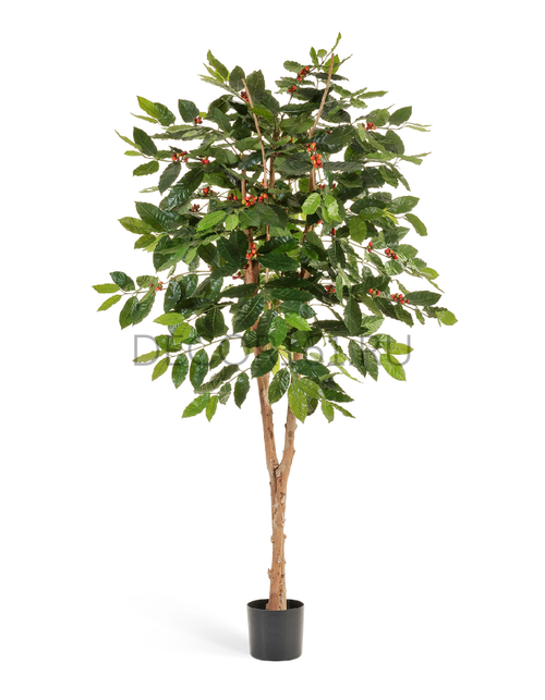 Кофейное дерево с плодами 180 см 2/2 10.38906FL