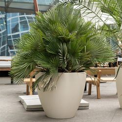 Кашпо UPON SAHARA D75 H65