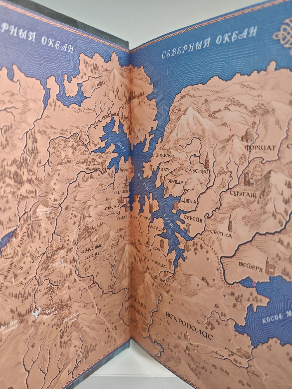 Алиедора. Цикл "Семь Зверей Райлега". Книга 2