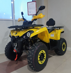 Квадроцикл Gladiator F200 LUX (New)