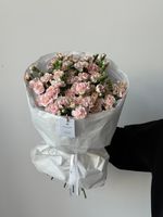 Моно букет из кустовых диантусов в нежно розовом оттенке 35 шт