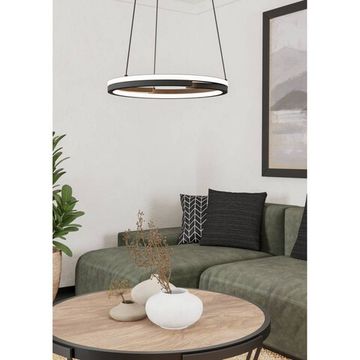 Светодиодный подвес 40W 2700-6500K 901822 черный Mezzomonte Eglo
