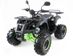 Квадроцикл MOTAX ATV Grizlik-8 125