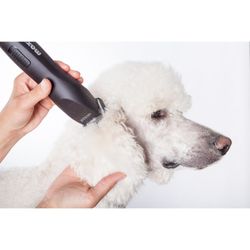 Машинка для стрижки животных Moser Max50 (1250-0052)