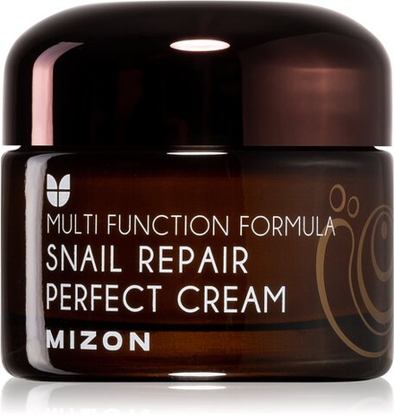 Mizon Multi Function Formula Snail - крем для лица с экстрактом слизи улитки 60% /   50  ml  / GTIN 8809390120488