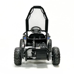 Багги Green Camel Намиб T006 (48V 1000W R6 Цепь) аморт