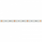 Лента светодиодная Arlight RT 012336(2)