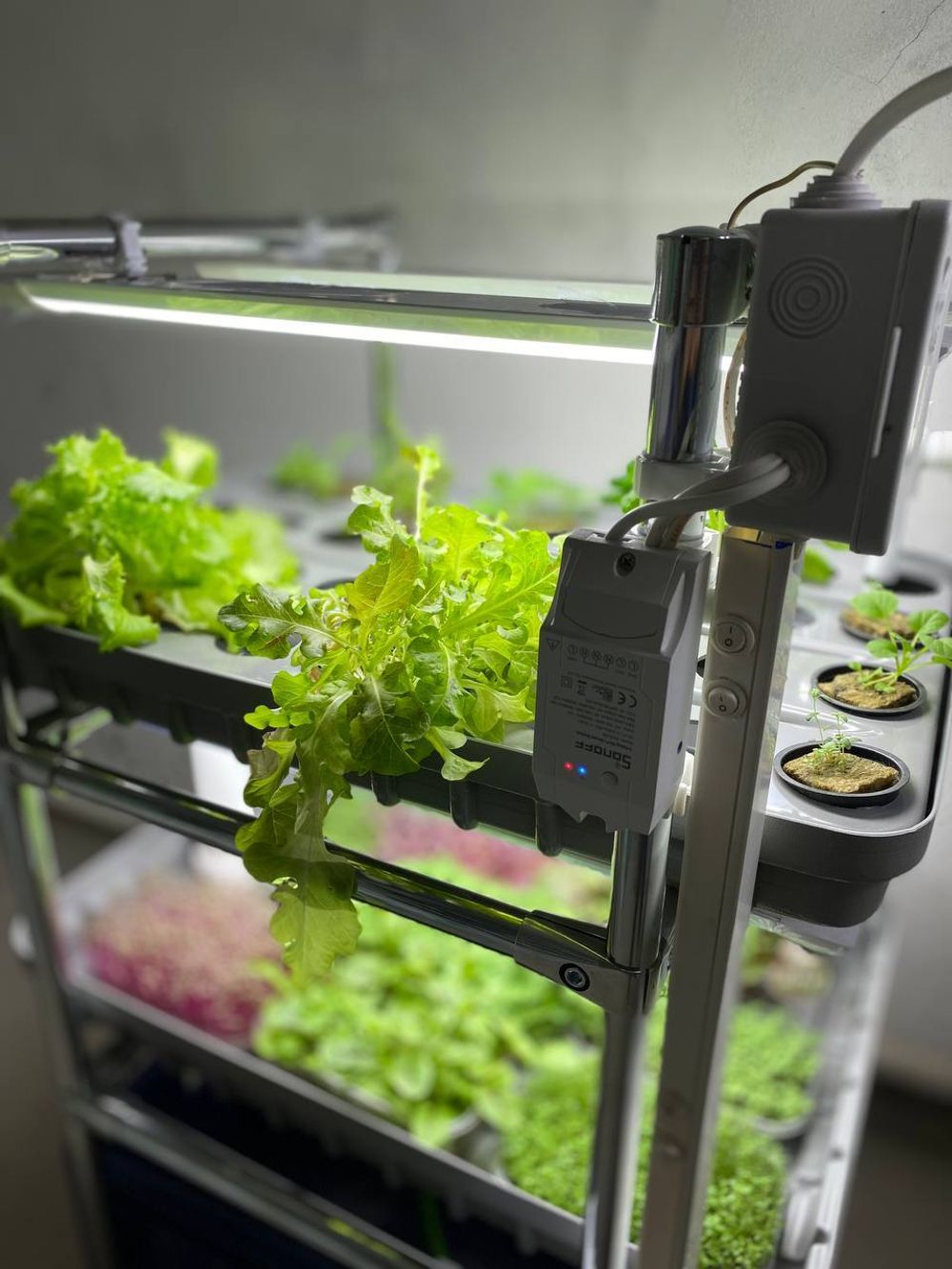 Домашняя гидропонная установка HydroBoss Mini