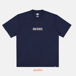  Футболка мужская Dickies Patrick Springs Tee артикул:DK0A4YR7DNX1 - купить в магазине Дайс