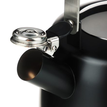 SATOSHI Нера Чайник 2,5л нерж.сталь, индукция (ID-K621)