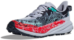 Кроссовки мужские Hoka Speedgoat 6