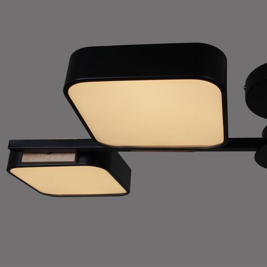 03361-0.3-04 BK+WOOD светильник потолочный