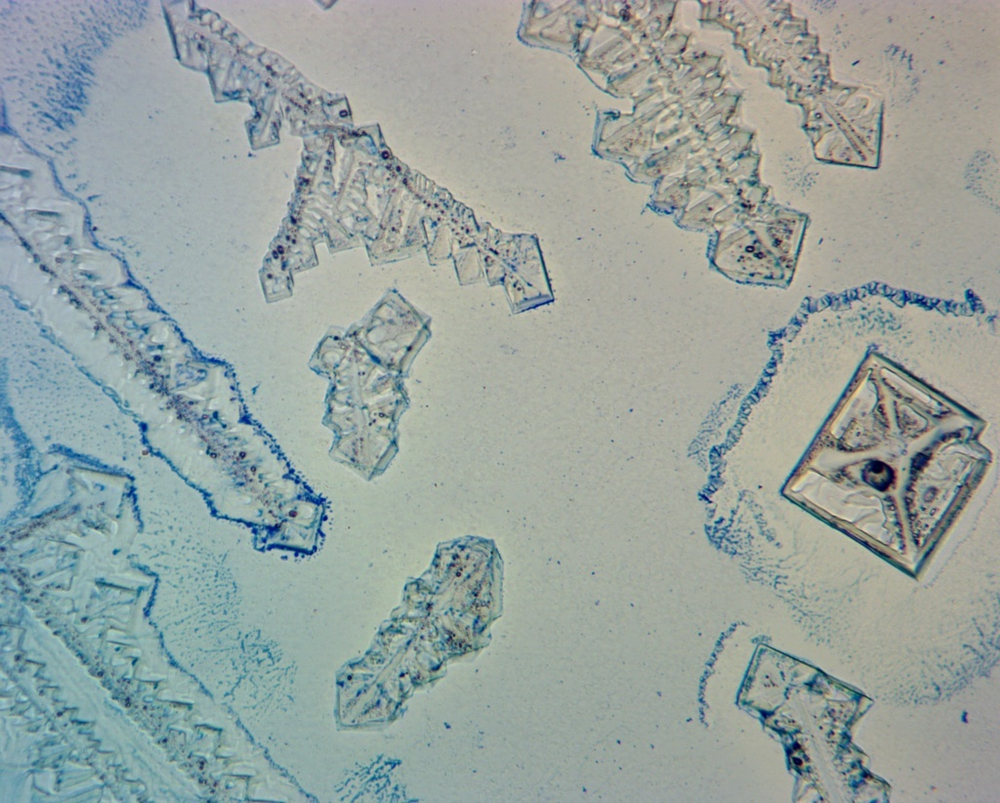 Видеоокуляр ToupCam UCMOS14000KPA