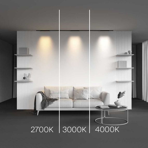 Трековый светильник Maytoni Technical Basis TR192-1-8W2.7K-B