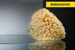 Душевое  ограждение   Vegas  Glass AFP-Fis 120x90см. профиль бронза, стекло прозрачное.