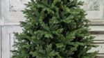 Ель искусственная «Графская» (Литая+пвх) 270 см / 2.7 м