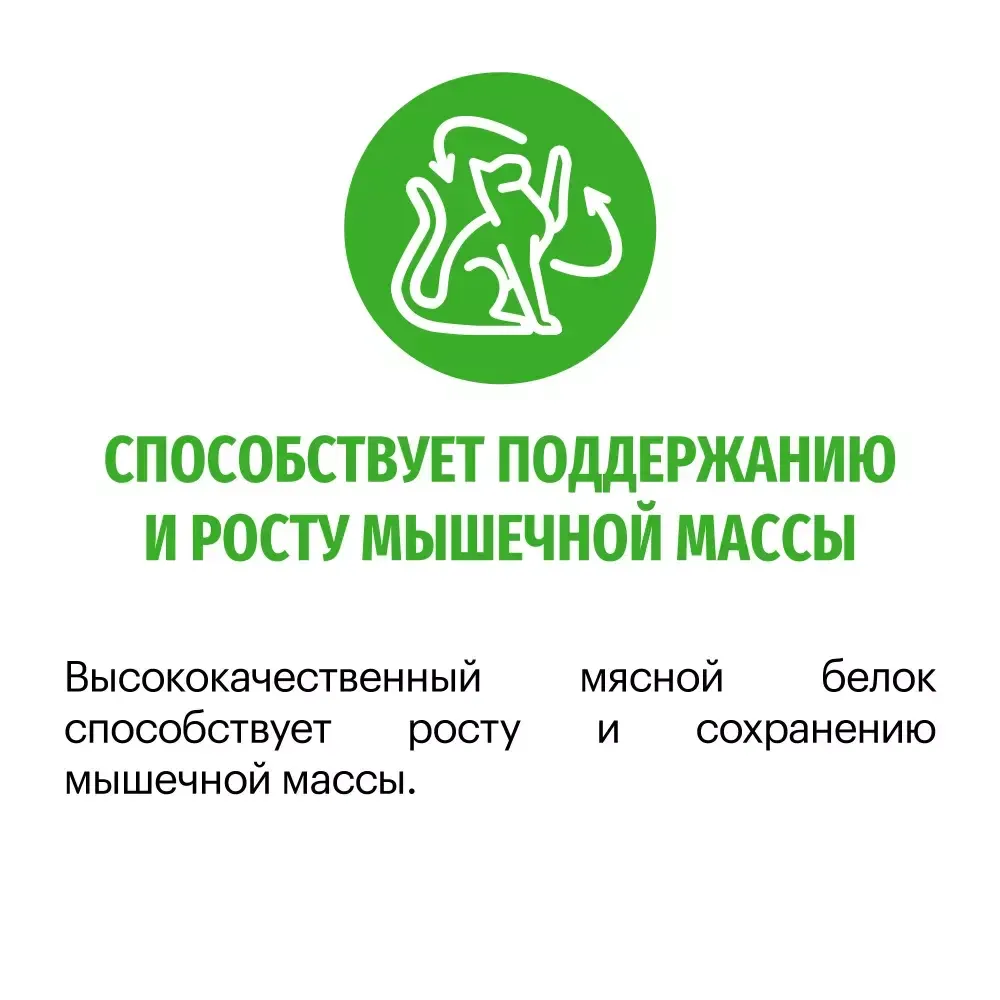 Сухой корм Karmy Sterilized для стерилизованных кошек и кастрированных котов, с индейкой Сухой корм Karmy Sterilized для стерилизованных кошек и кастрированных котов, с индейкой