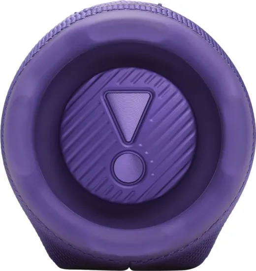 Портативная акустика JBL Charge 6, фиолетовый