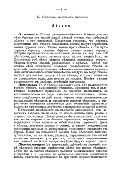 Питомник, плодовый сад, огород и цветник | Сумский Владимир Владимирович