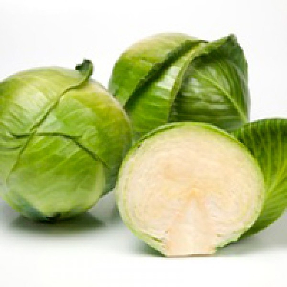 Мензания F1 семена капусты белокочанной (Seminis / Семинис) – фото 3