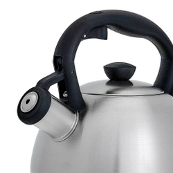 Чайник со свистком 2 л из нержавеющей стали, индукционное дно WEBBER BE-0578