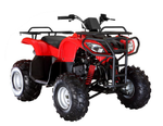 Квадроцикл ARMADA ATV 150L