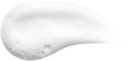 Aveda Phomollient™ Styling Foam - пенка для укладки, подчеркивающая форму прически для нормальных и тонких волос /   200  ml  / GTIN 018084340295
