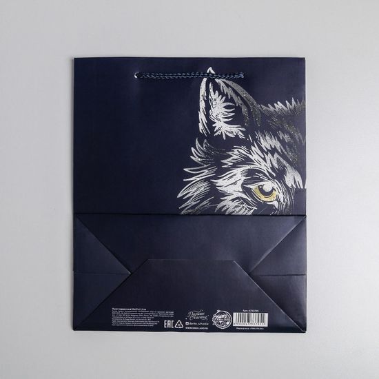 Пакет подарочный ламинированный, упаковка, «Сильному духом», ML 23×27×11.5 см