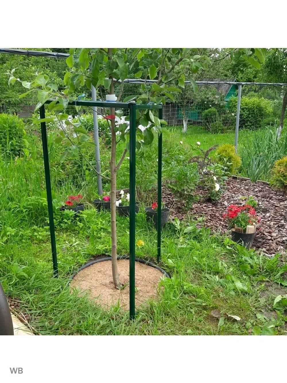 Опора кустодержатель-ограждение растений
