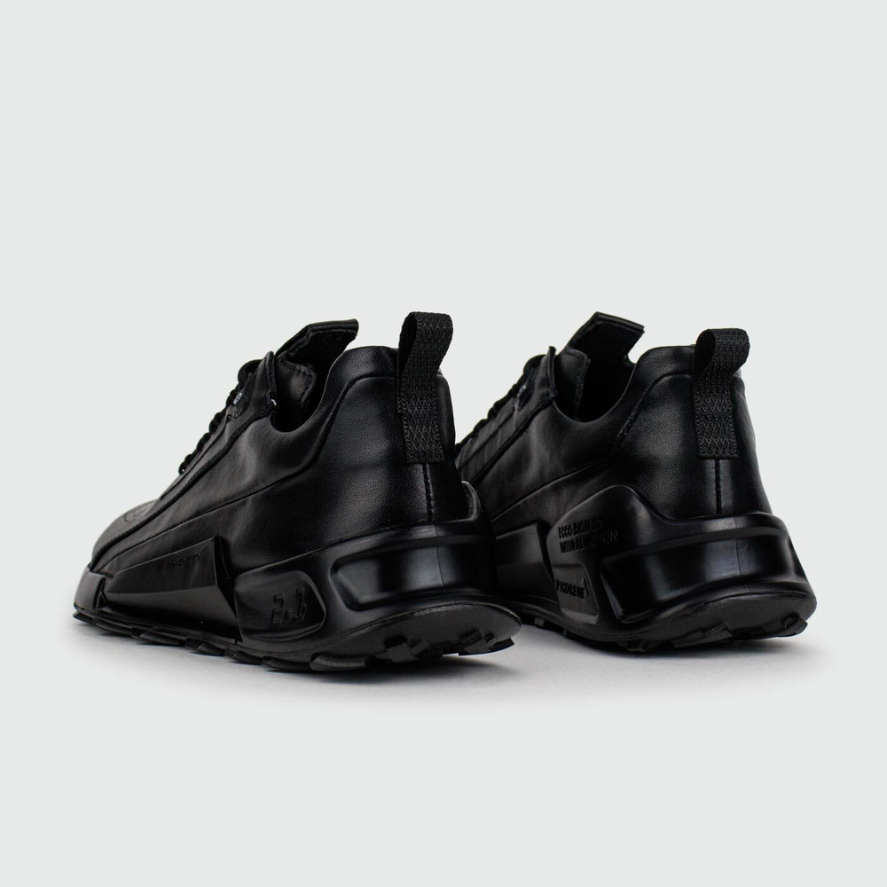 Кроссовки ECCO Biom 2.1 Black