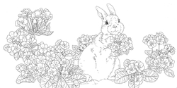 Gifts from animals Birth Moon Flower. Coloring Book