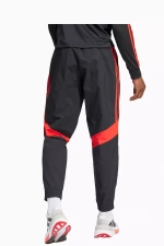 Штаны adidas Predator 30th Anniversary Woven