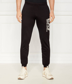 Спортивные штаны EA7 - черный(6DPP87 PJVRZ)