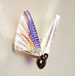 бра The Fluttering Butterfly B