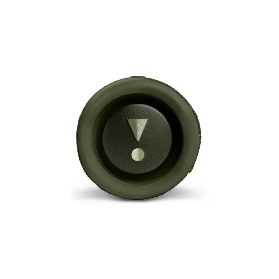 JBL Flip 6 Green