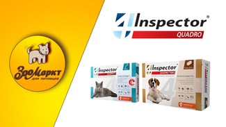 Inspector — один от всех!