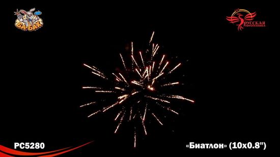 Биатлон (0,8" х 10) РС5280